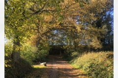 9D009F84-8EAD-49F0-B7B3-047122EBEF6C